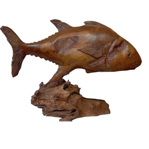 Διακοσμητικό ψάρι