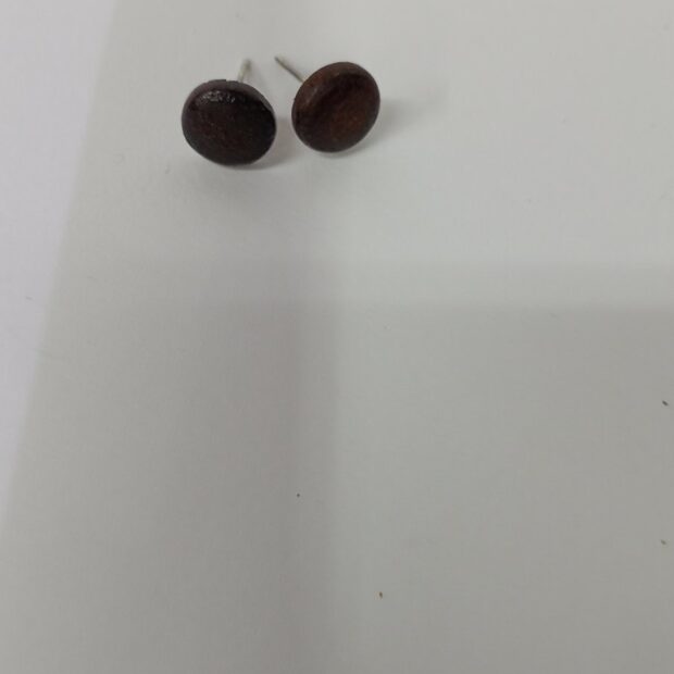 Σκουλαρίκι