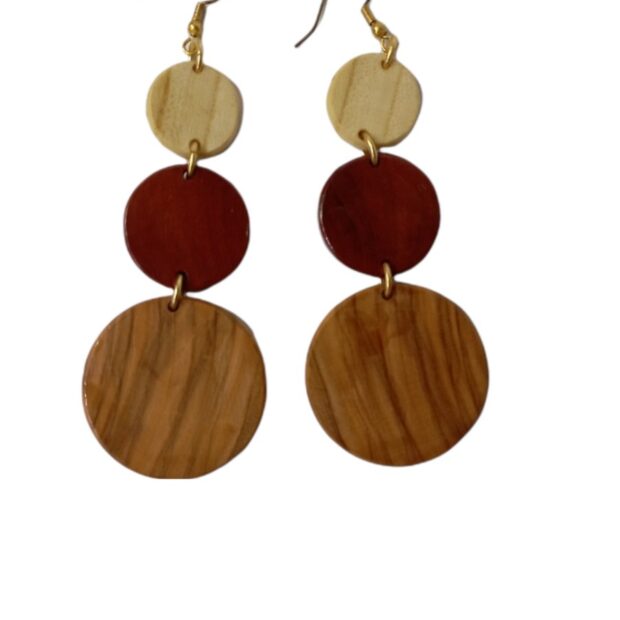 Σκουλαρίκι