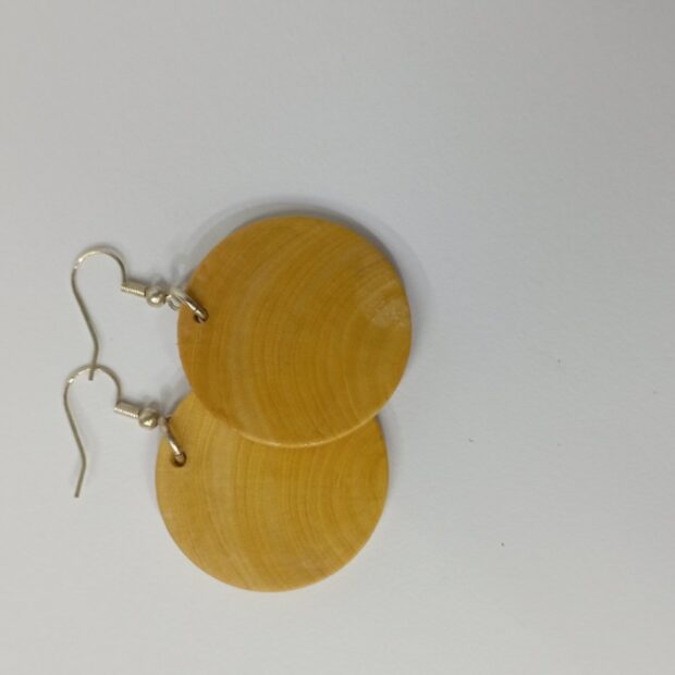 Σκουλαρίκι